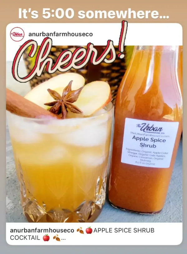 ππ APPLE SPICE SHRUB COCKTAIL ππ