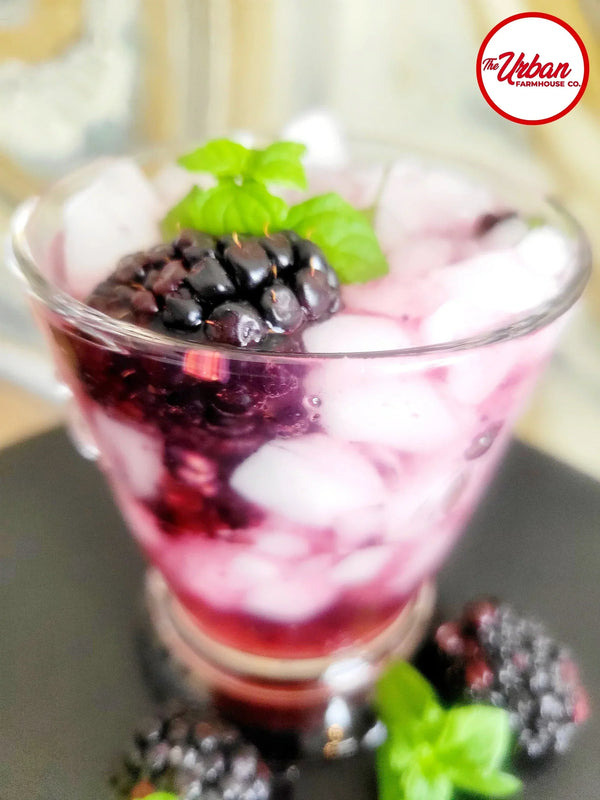 BLACKBERRY MINT ๐ SHRUB MOJITO ๐น