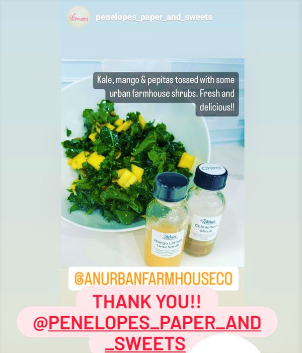 Shot Variety Samplers – 1 oz Organic ACV Infusions for Gut Health & Flavor