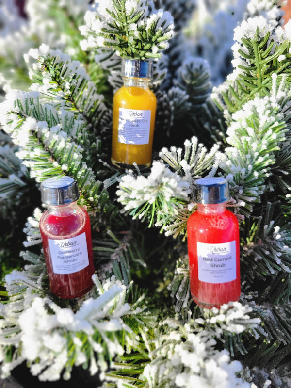 Shot Variety Samplers – 1 oz Organic ACV Infusions for Gut Health & Flavor