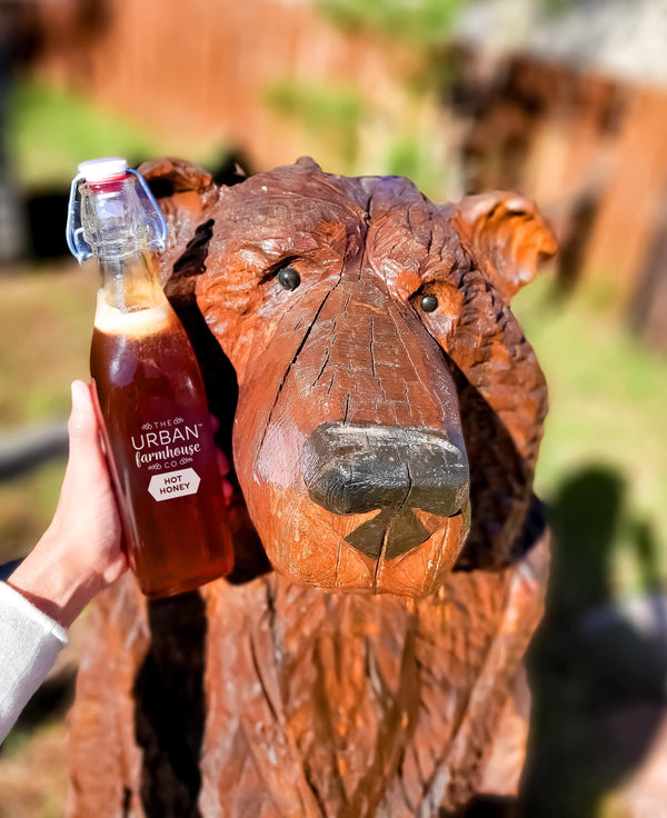 Hot Honey – Colorado Raw Honey Infused with Organic Chili Peppers