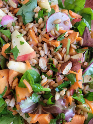 HEARTY FARRO SALAD & APPLE 🍎 SPICE SHRUB